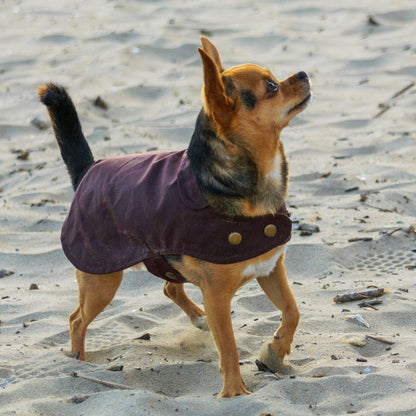 Organic Cotton Oilskin coat