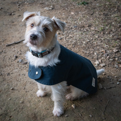 Organic Cotton Dry Oilskin coat