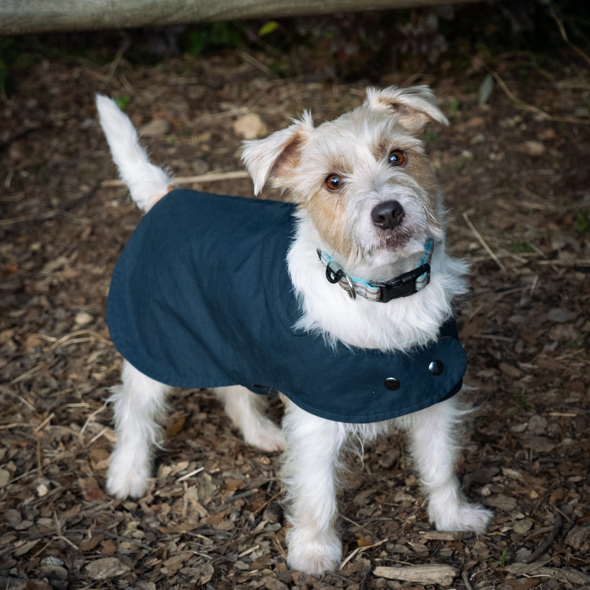 Organic Cotton Dry Oilskin coat