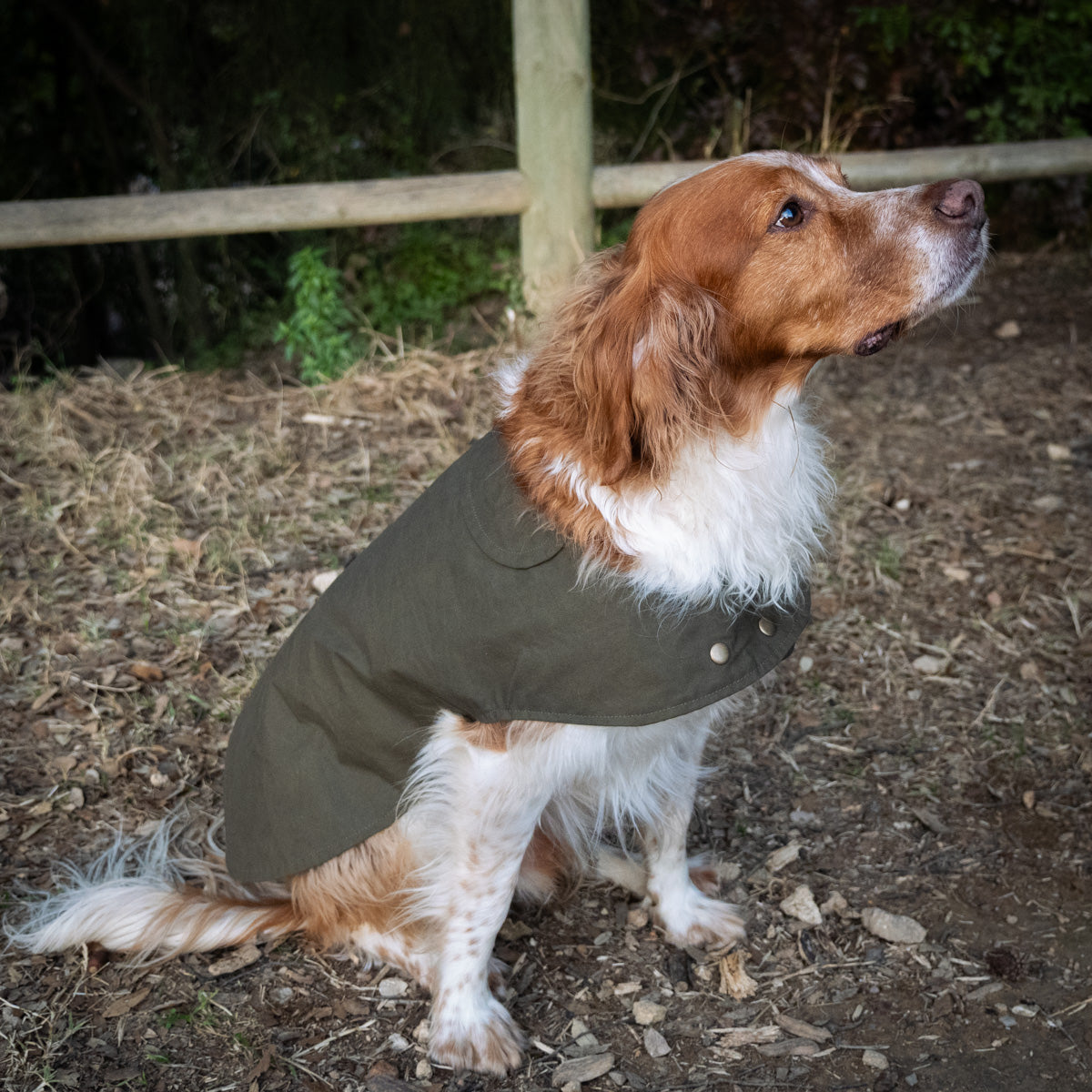 Organic Cotton Dry Oilskin coat